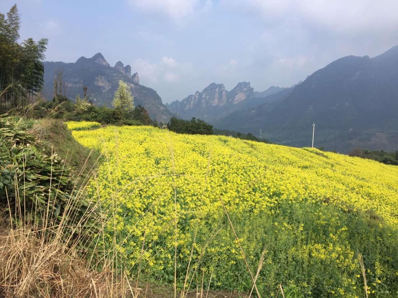 Dayong Antique Feature Resort Zhangjiajie Exterior photo