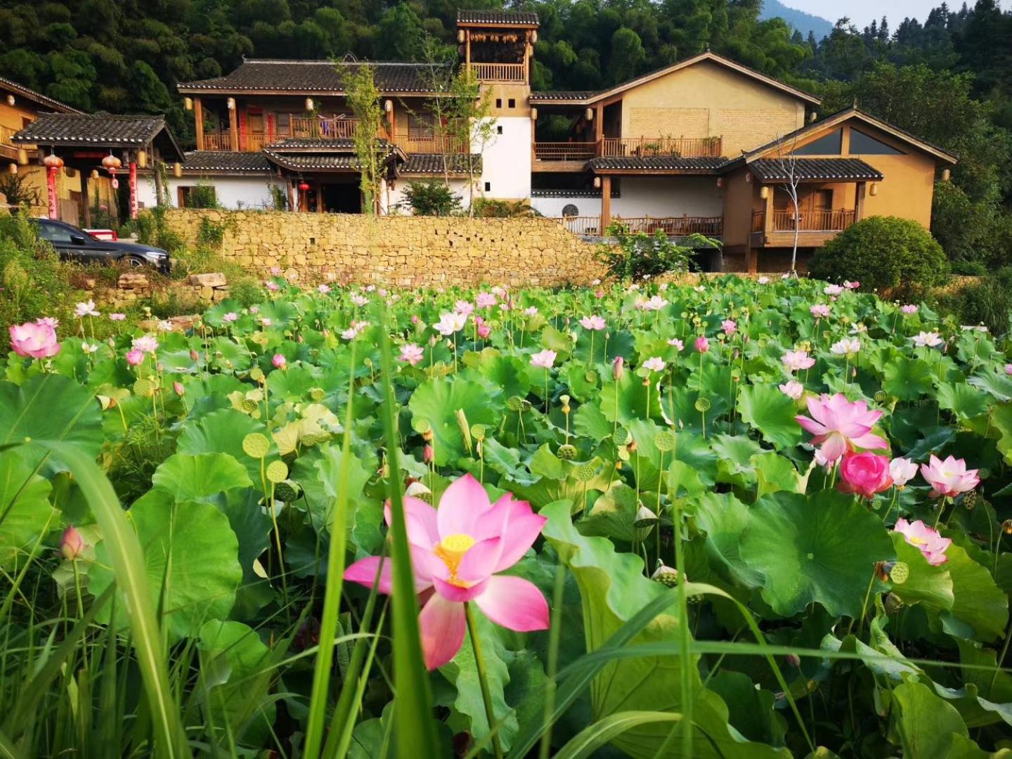 Dayong Antique Feature Resort Zhangjiajie Exterior photo